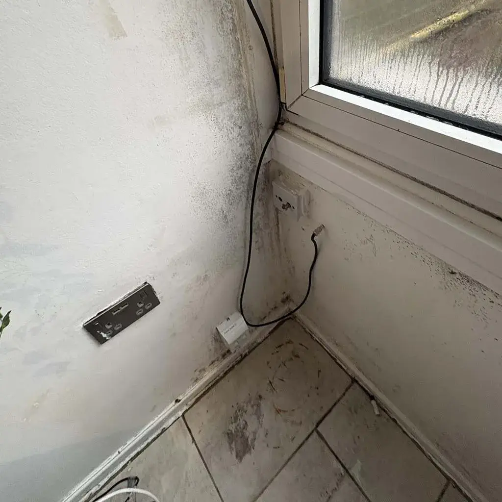 Black mould and condensation.