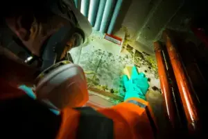 Ideal Response technician removing mould
