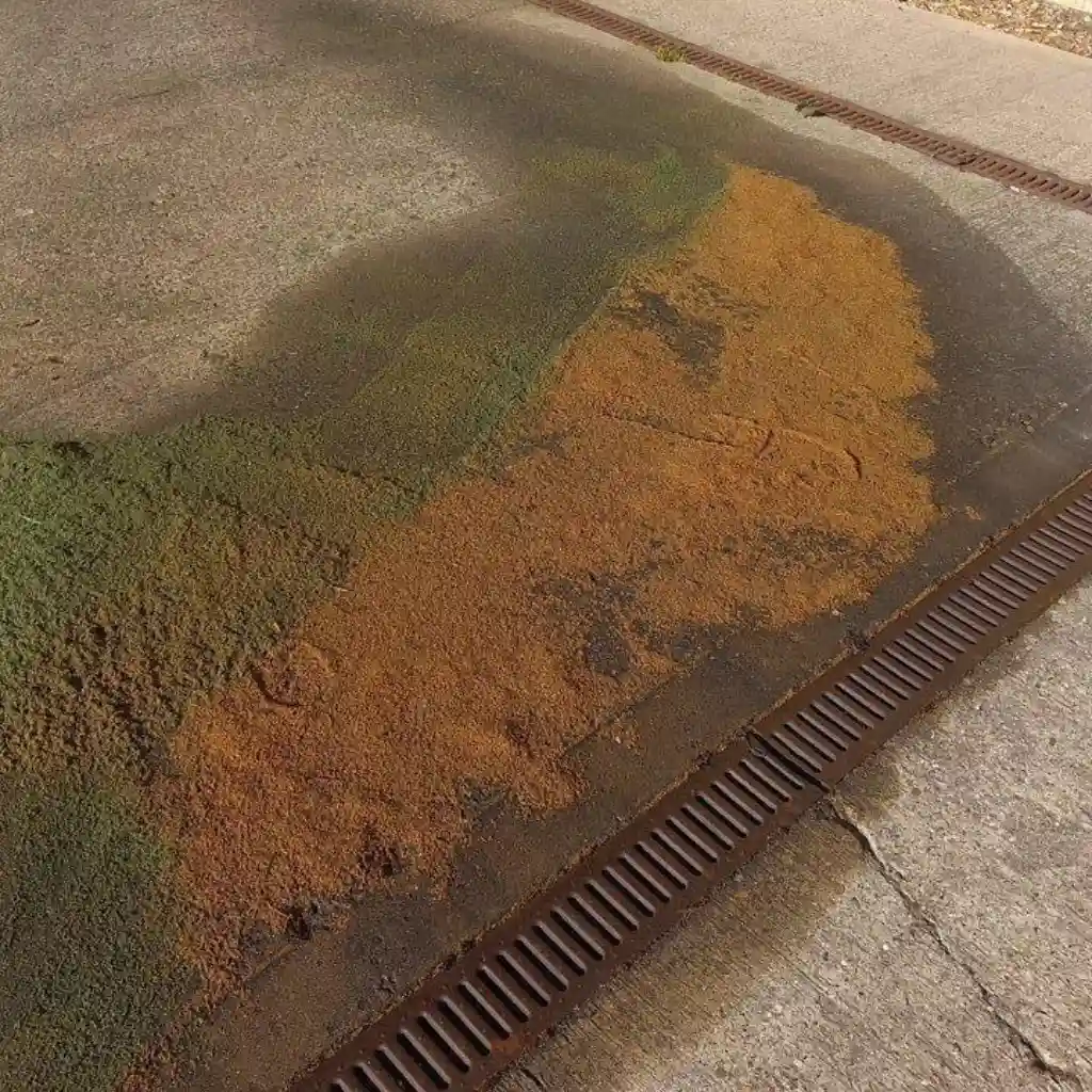 Sand used to contain oil.